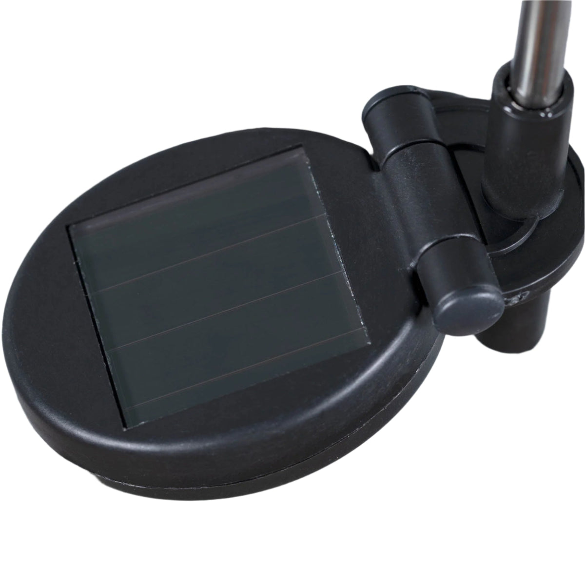 Paw Print Solar Garden Globe Stake - Image 7