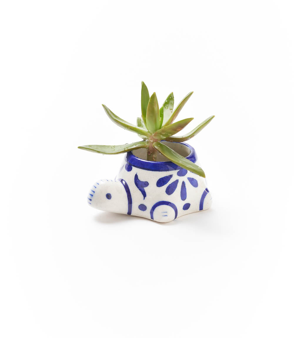 Indigo Turtle Succulent Planter - Image 1