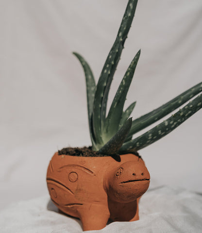 Large Terracotta Turtle Planter - Image 3
